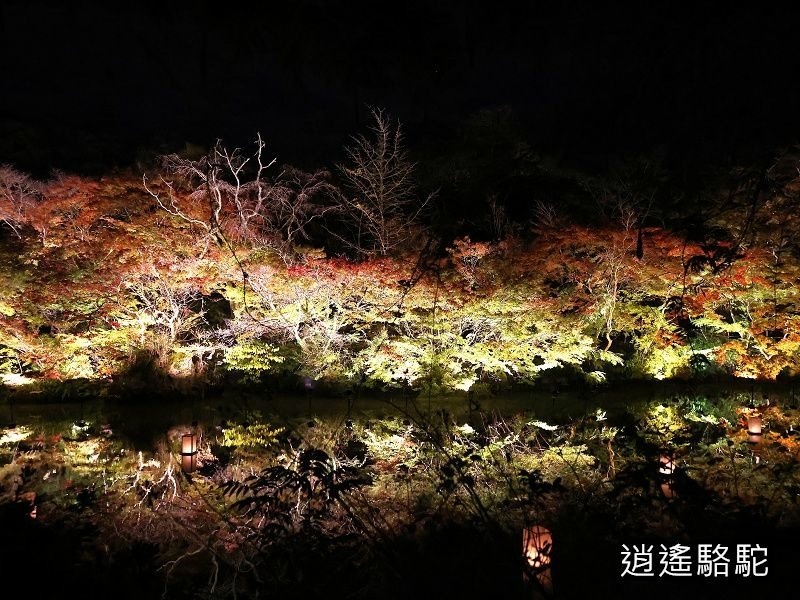 鏡池紅楓夜景(御船山樂園)-日本駱駝