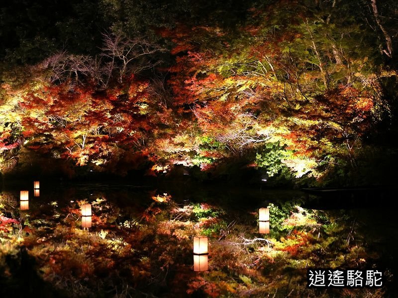 鏡池紅楓夜景(御船山樂園)-日本駱駝