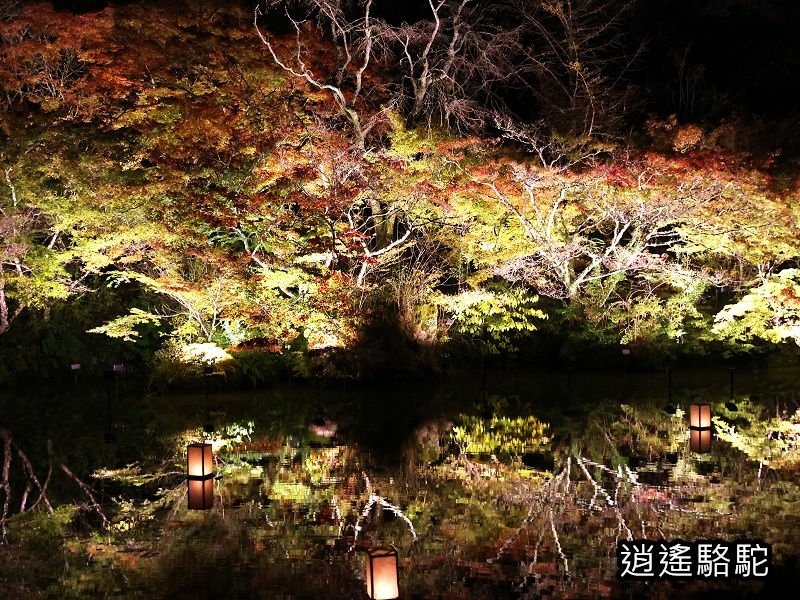 鏡池紅楓夜景(御船山樂園)-日本駱駝