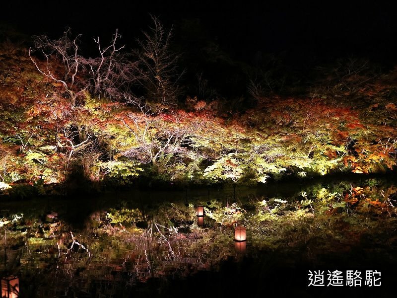 鏡池紅楓夜景(御船山樂園)-日本駱駝