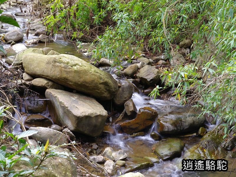 小粗坑發電廠(屈尺古道)-新北駱駝