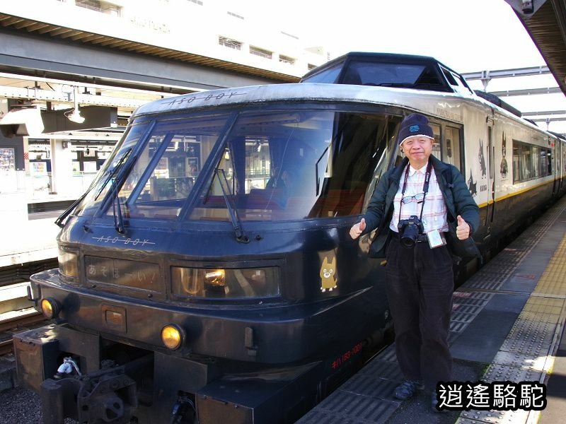 博多→熊本→大分-日本駱駝