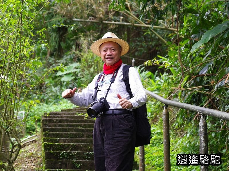 屈尺古道最高點伸丈坂-新北駱駝