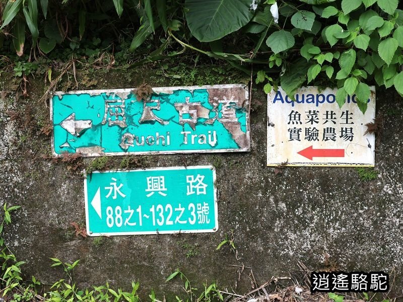 屈尺古道最高點伸丈坂-新北駱駝