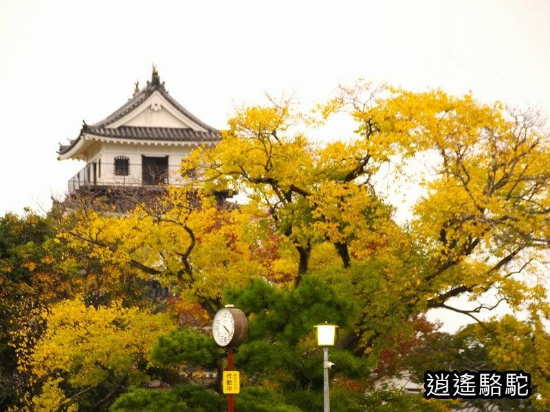 黑田官兵衛資料館(中津城)-日本駱駝