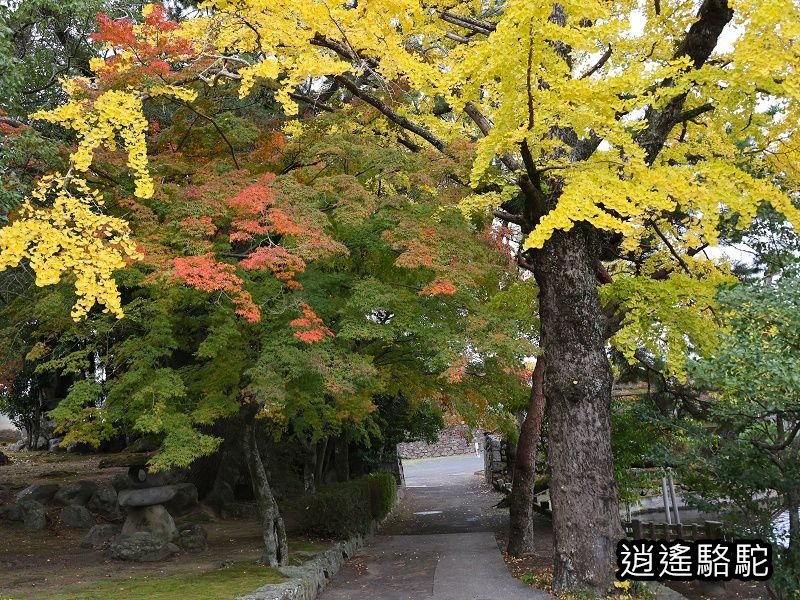 黑田官兵衛資料館(中津城)-日本駱駝