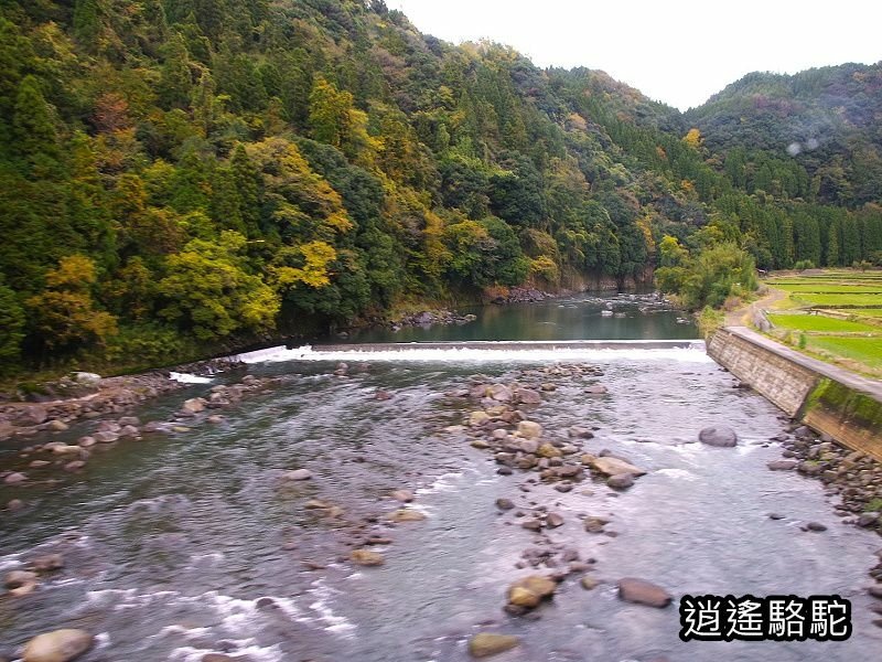 由布院之森1號(博多→由布院)-日本駱駝