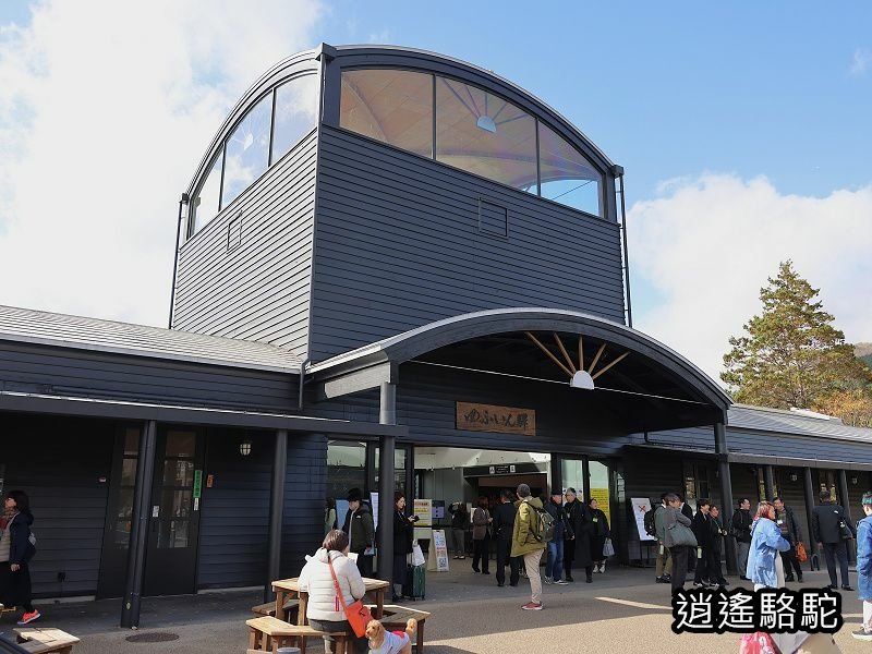 由布院之森1號(博多→由布院)-日本駱駝