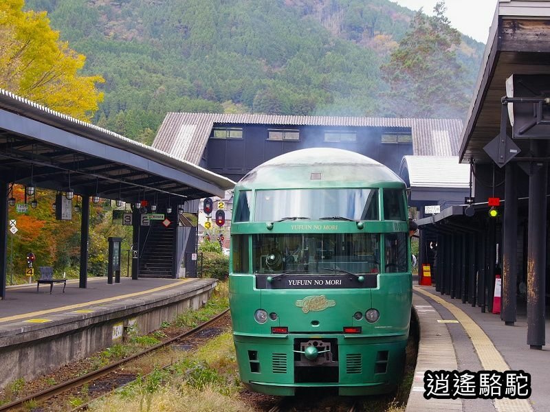 由布院之森1號(博多→由布院)-日本駱駝