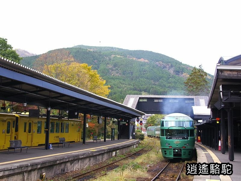 由布院之森1號(博多→由布院)-日本駱駝