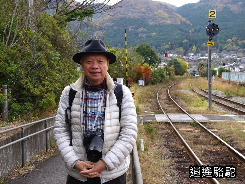 由布院之森1號(博多→由布院)-日本駱駝