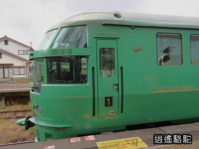 由布院之森1號(博多→由布院)-日本駱駝