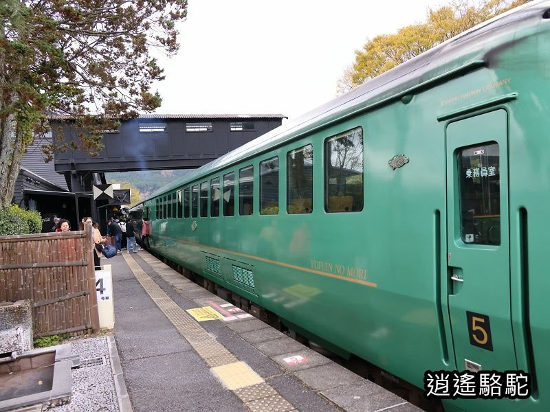 由布院之森1號(博多→由布院)-日本駱駝