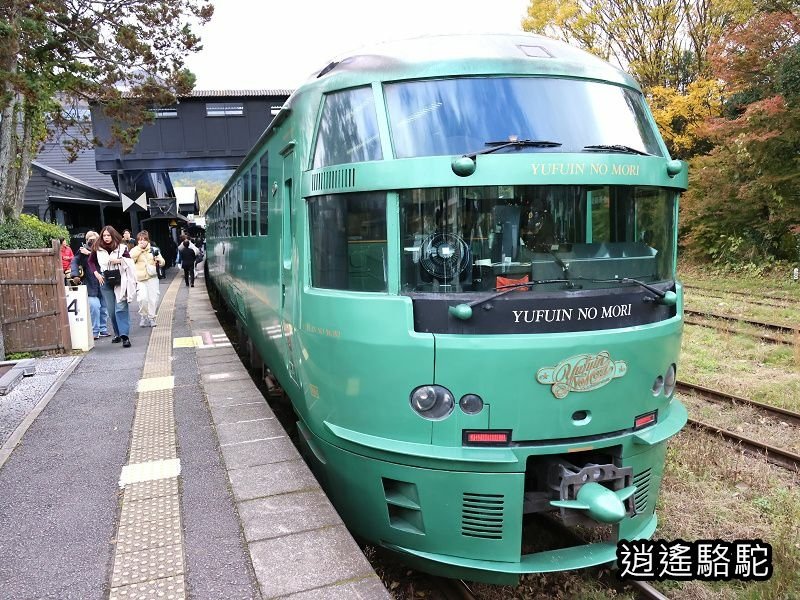 由布院之森1號(博多→由布院)-日本駱駝