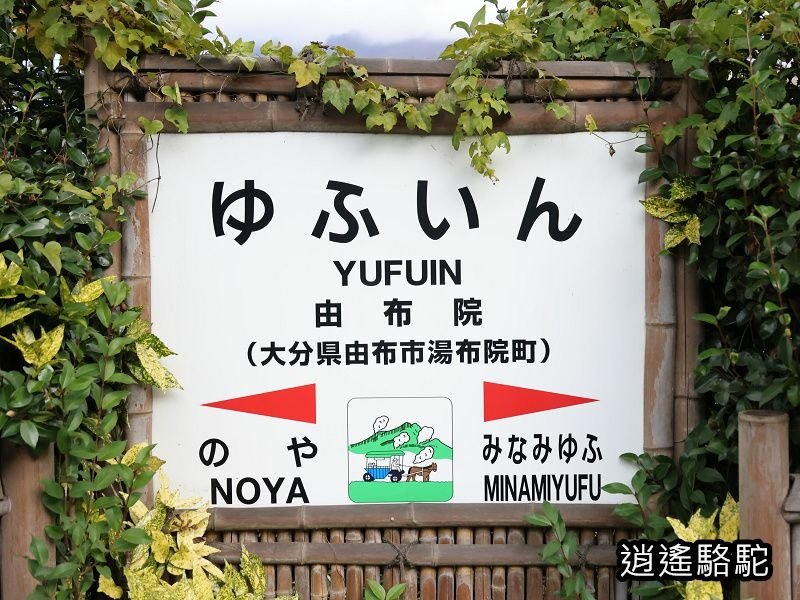 由布院之森1號(博多→由布院)-日本駱駝