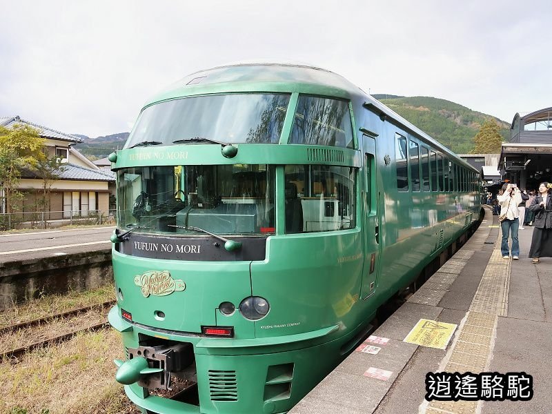 由布院之森1號(博多→由布院)-日本駱駝