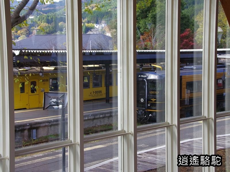 搭由布院之森1號抵達由布院駅-日本駱駝