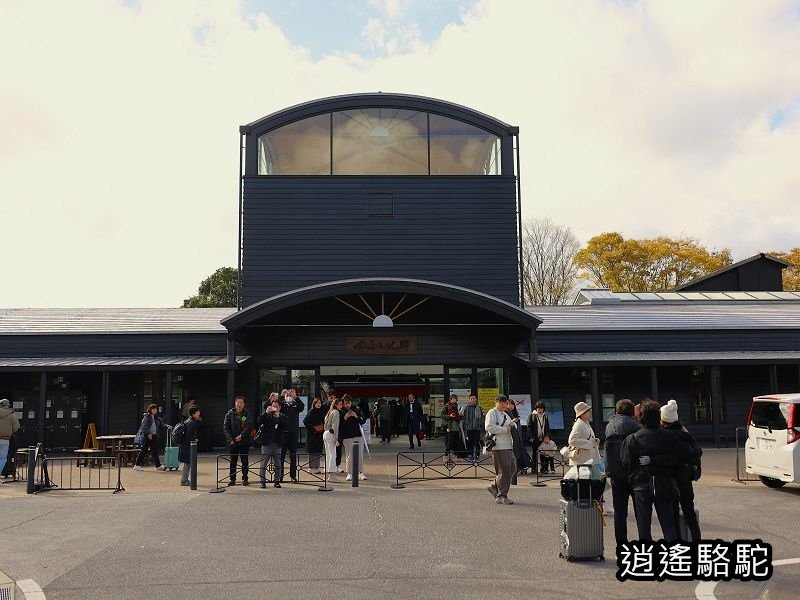 搭由布院之森1號抵達由布院駅-日本駱駝