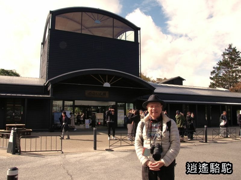 搭由布院之森1號抵達由布院駅-日本駱駝