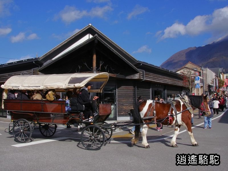 搭由布院之森1號抵達由布院駅-日本駱駝