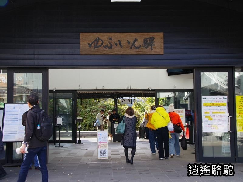 搭由布院之森1號抵達由布院駅-日本駱駝