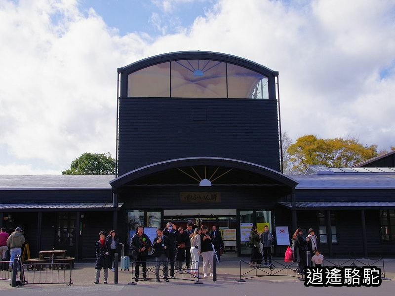 搭由布院之森1號抵達由布院駅-日本駱駝