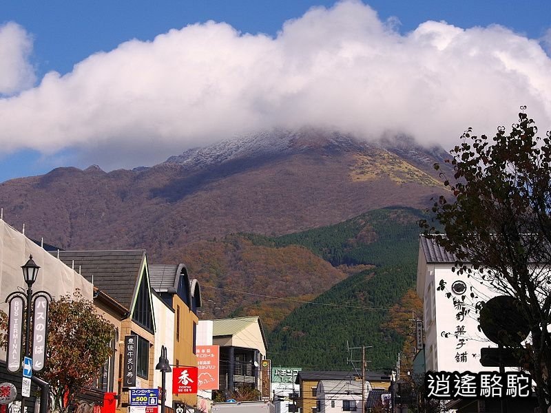 搭由布院之森1號抵達由布院駅-日本駱駝