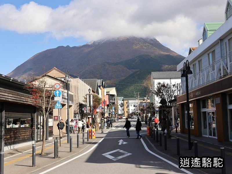 搭由布院之森1號抵達由布院駅-日本駱駝