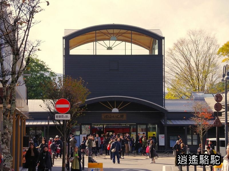 搭由布院之森1號抵達由布院駅-日本駱駝