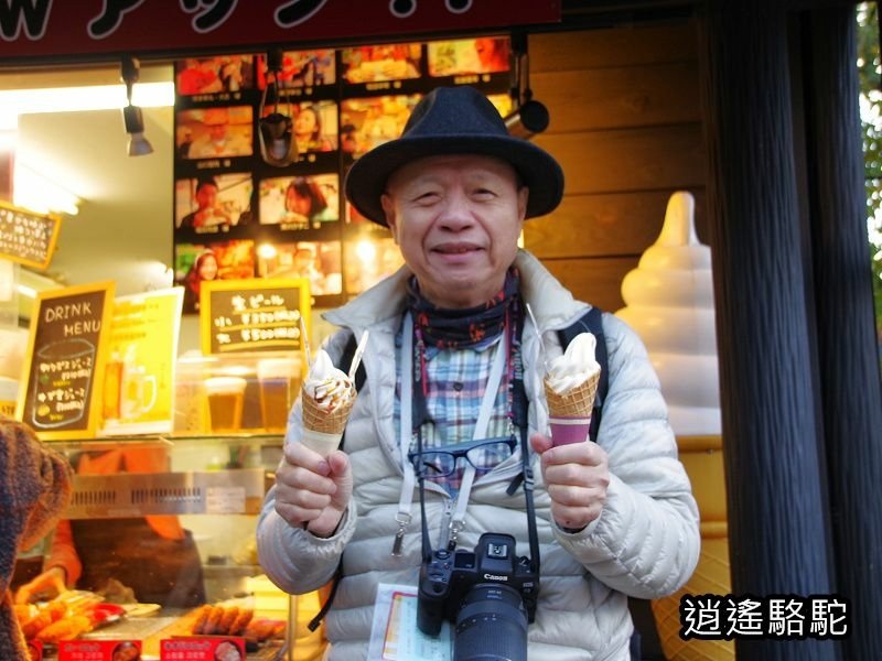 由布院山ぼうし(山帽子日式旅館)-日本駱駝