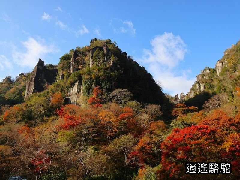 一目八景紅葉みごろ-日本駱駝