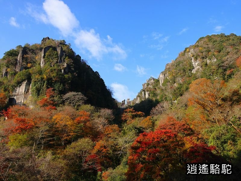 一目八景紅葉みごろ-日本駱駝