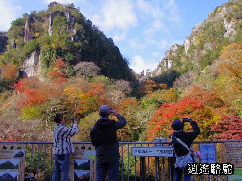 一目八景紅葉みごろ-日本駱駝