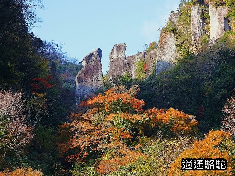 一目八景紅葉みごろ-日本駱駝