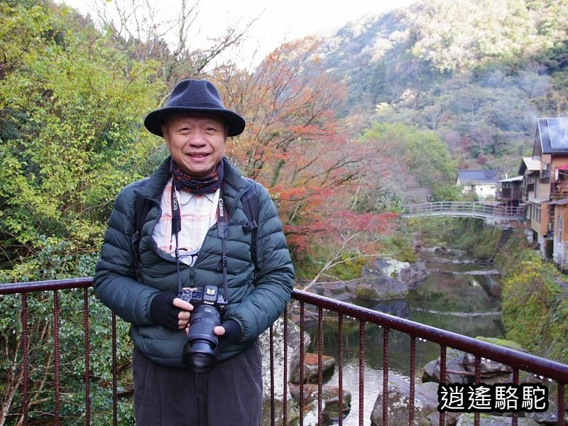 一目八景紅葉みごろ-日本駱駝