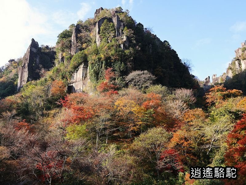 一目八景紅葉みごろ-日本駱駝