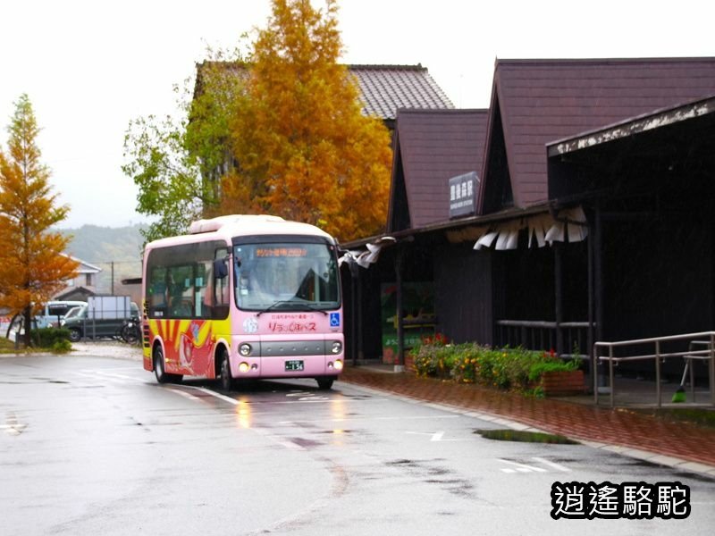 一目八景紅葉みごろ-日本駱駝