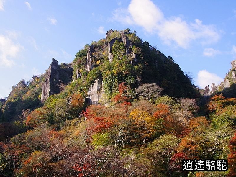 一目八景紅葉みごろ-日本駱駝