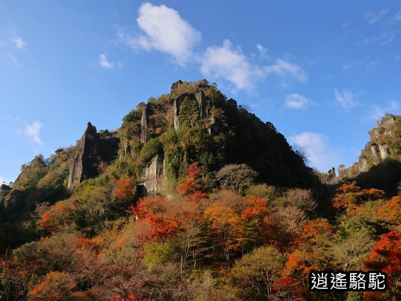 一目八景紅葉みごろ-日本駱駝