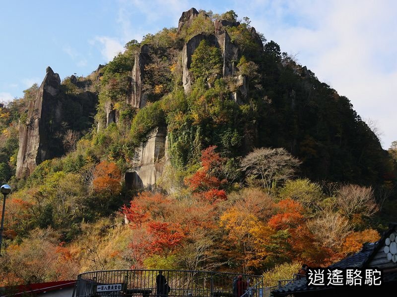 一目八景紅葉みごろ-日本駱駝