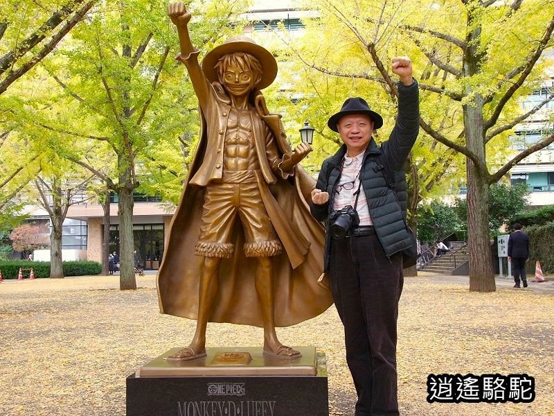 九州追觀光列車之旅-日本駱駝
