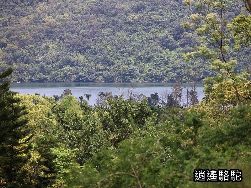 蒸氣集材機、柴油集材機、汽油機關車 (池南國家森林遊樂區)-