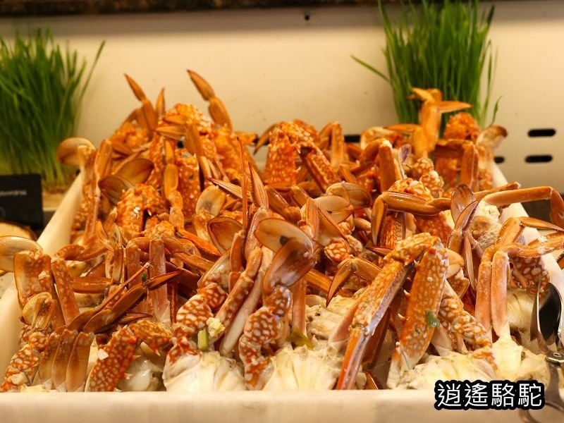 八星級酋長皇宮飯店Le Vendôme自助餐-阿拉伯聯合大公