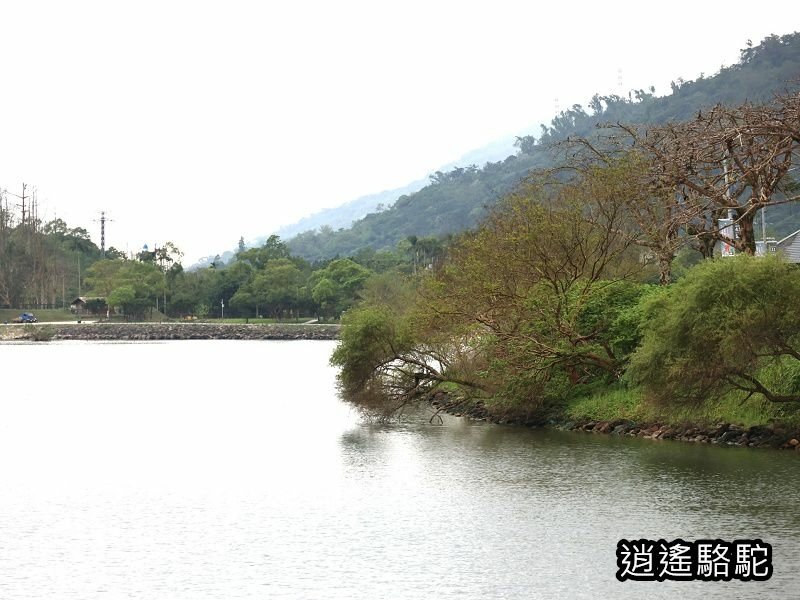鯉魚潭輕鬆走一回-以花蓮駱駝