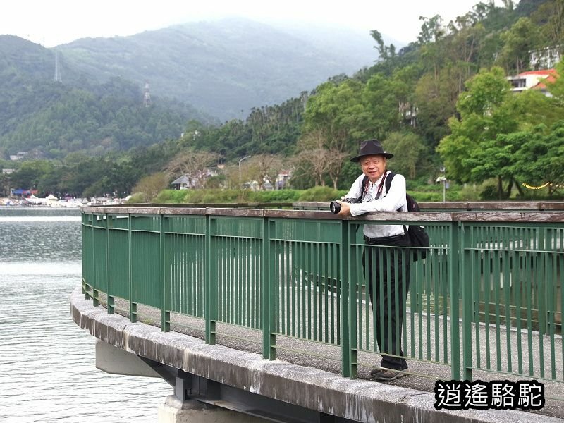 鯉魚潭輕鬆走一回-以花蓮駱駝