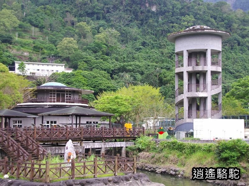 鯉魚潭輕鬆走一回-以花蓮駱駝