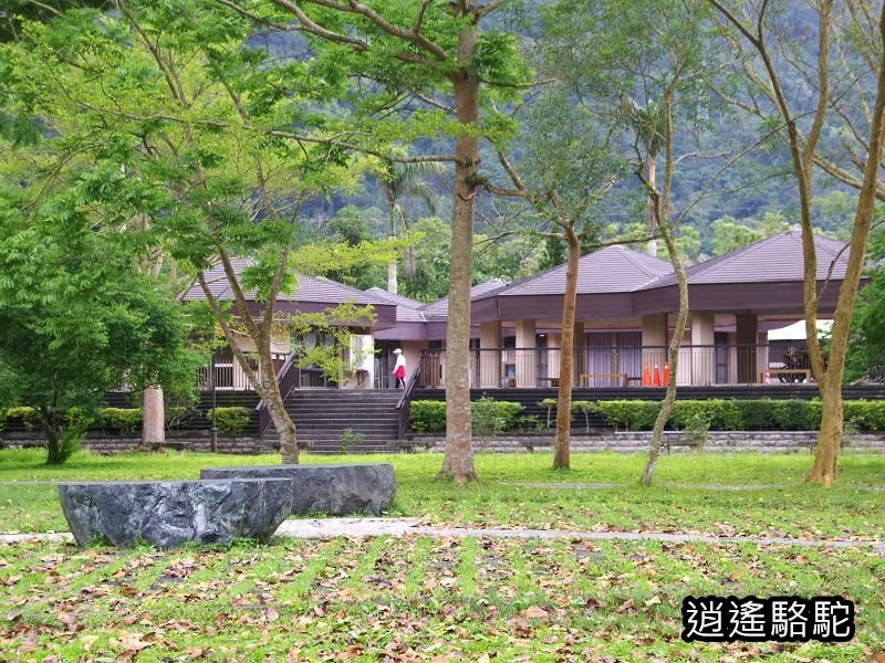 鯉魚潭輕鬆走一回-以花蓮駱駝