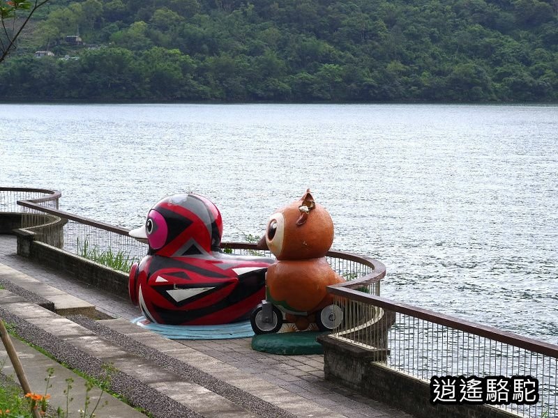 鯉魚潭輕鬆走一回-以花蓮駱駝