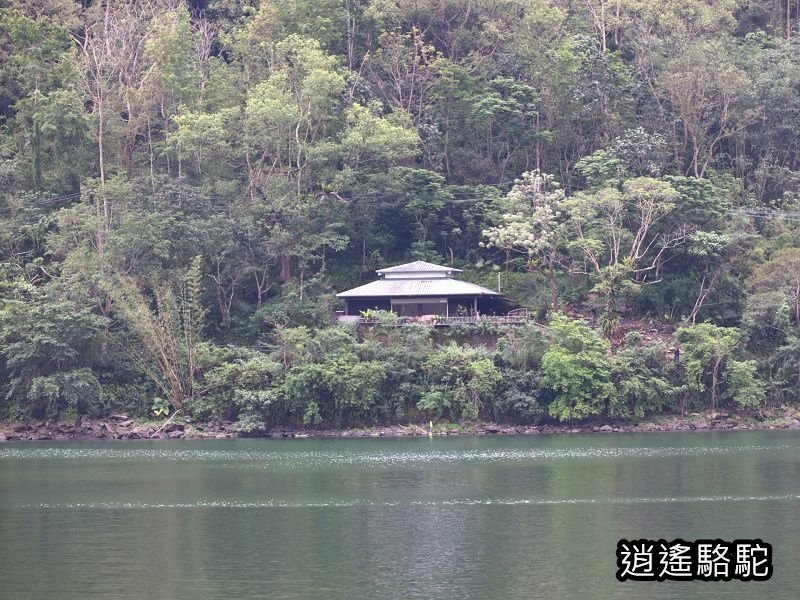 鯉魚潭輕鬆走一回-以花蓮駱駝