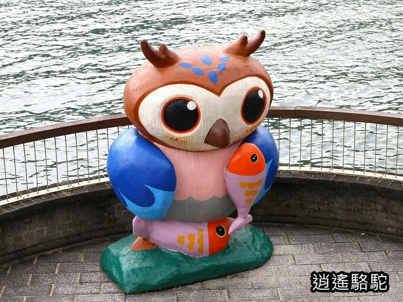 鯉魚潭輕鬆走一回-以花蓮駱駝